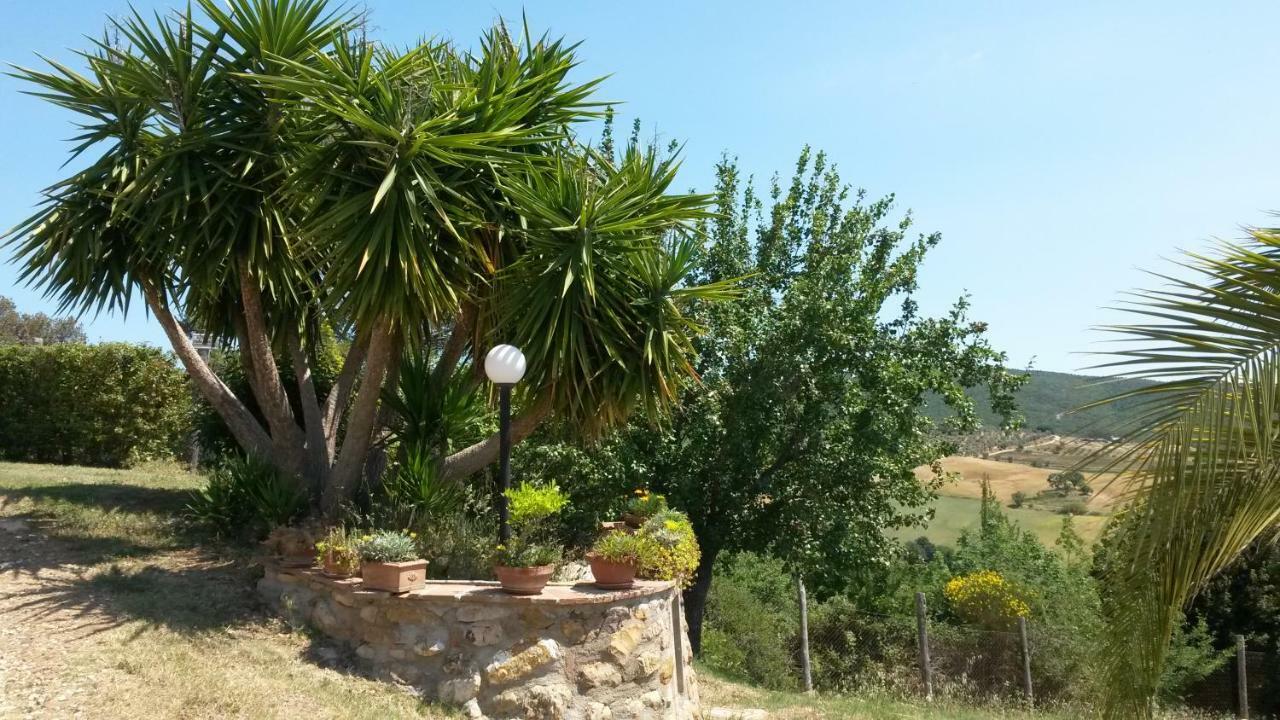 Podere Mammoleta Fattoria la Marsiliana Exterior foto