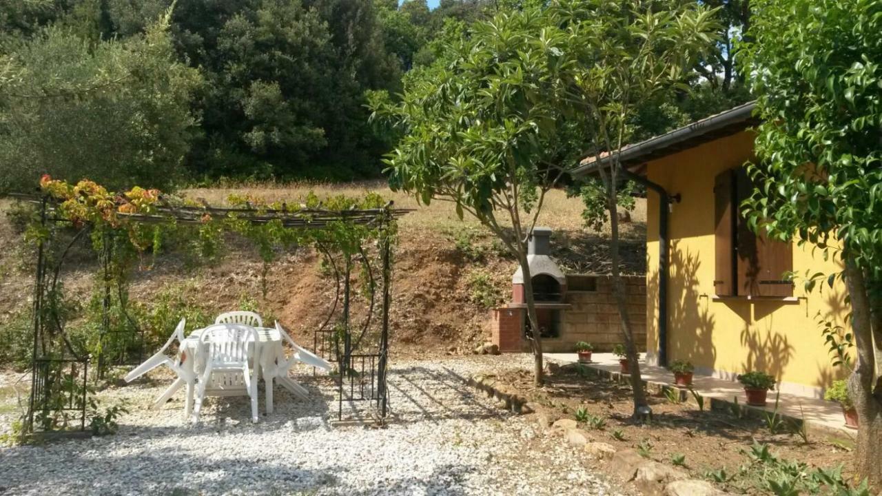 Podere Mammoleta Fattoria la Marsiliana Exterior foto