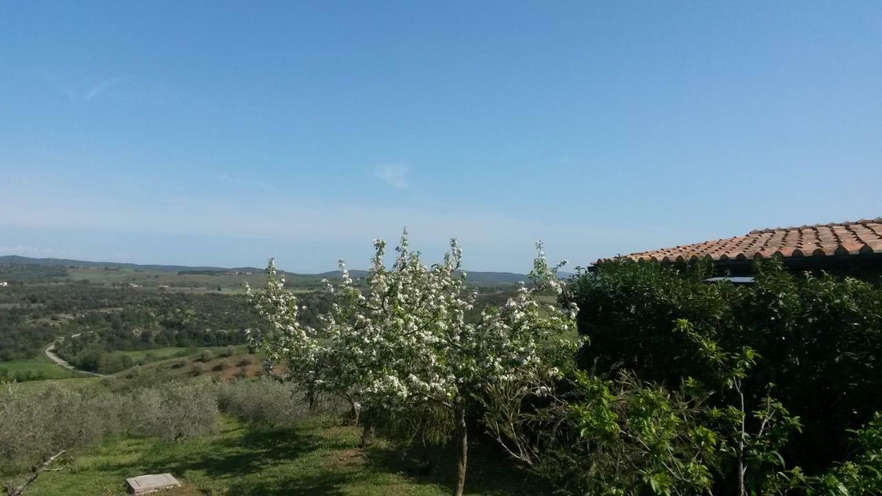 Podere Mammoleta Fattoria la Marsiliana Exterior foto