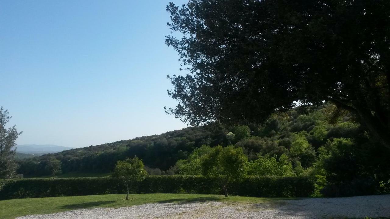 Podere Mammoleta Fattoria la Marsiliana Exterior foto